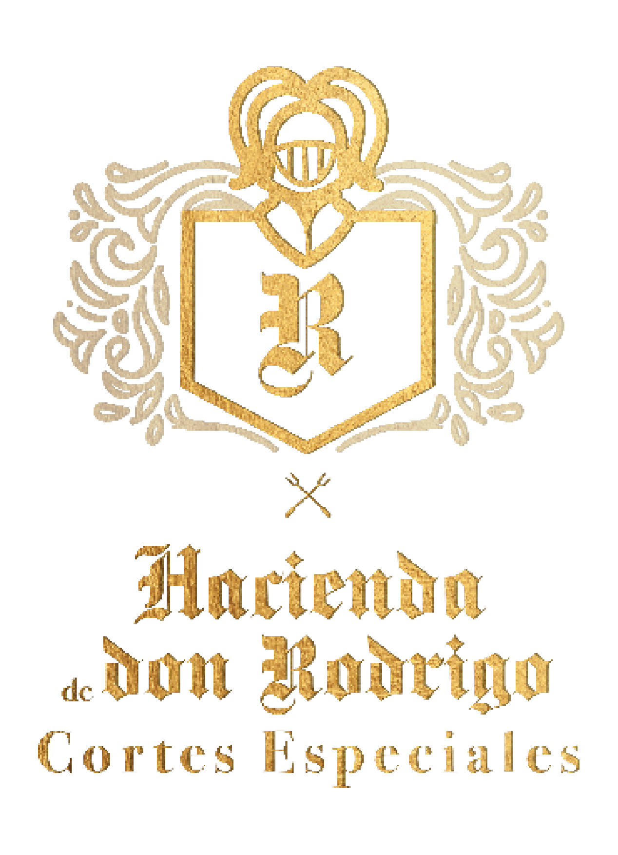Logo 1